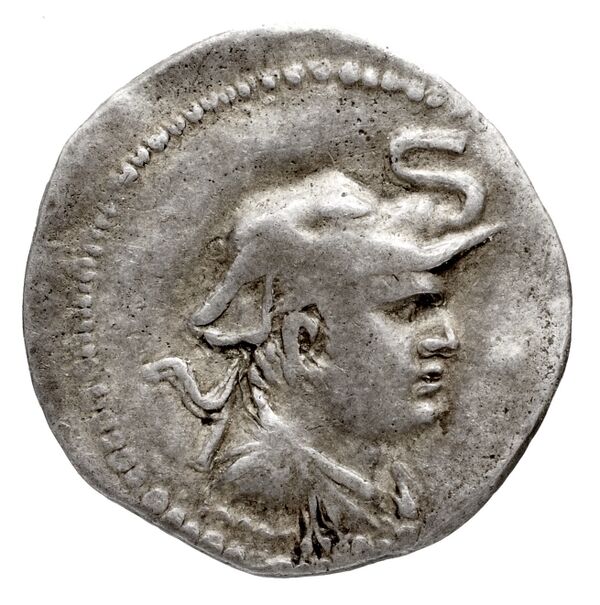 Bactrian and Indo-Greek Coinage Demetrius I 5.3, аверс, bnf-bigr