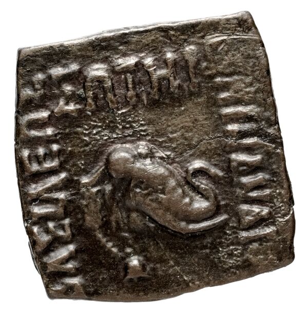 Bactrian and Indo-Greek Coinage Menander I 42.4, аверс, bnf-bigr