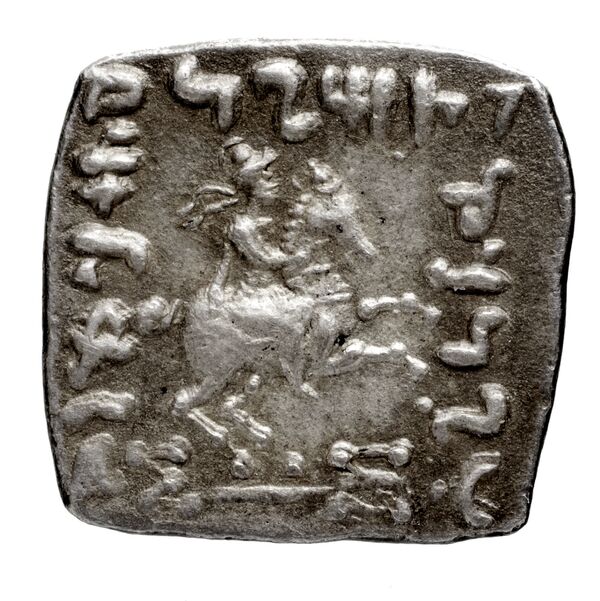 Bactrian and Indo-Greek Coinage Philoxenus 10.5, реверс, bnf-bigr