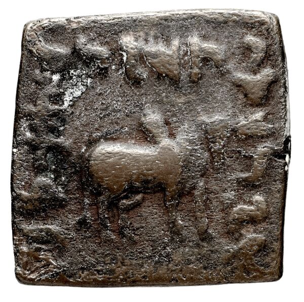 Bactrian and Indo-Greek Coinage Philoxenus 12.6, реверс, bnf-bigr