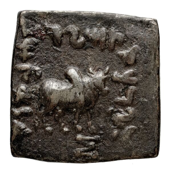 Bactrian and Indo-Greek Coinage Philoxenus 12.9, реверс, bnf-bigr