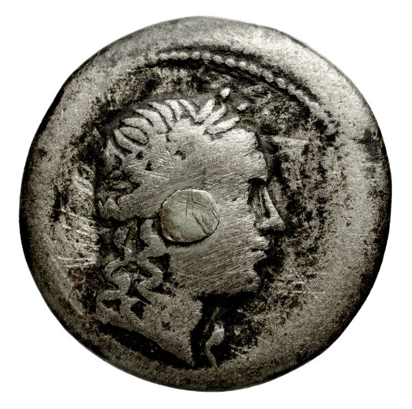 Bactrian and Indo-Greek Coinage Euthydemus II 6.1, аверс, bnf-bigr