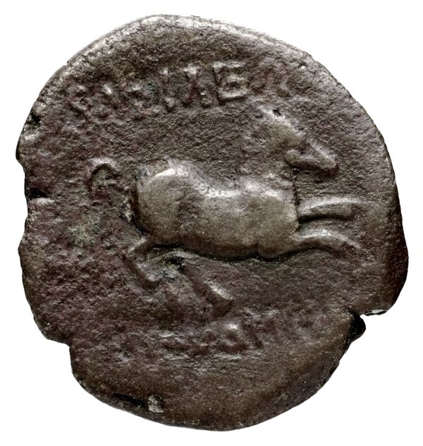 Bactrian and Indo-Greek Coinage Euthydemus I 8, реверс, bnf-bigr