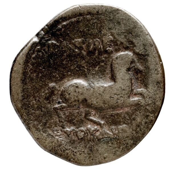 Bactrian and Indo-Greek Coinage Euthydemus I 8, реверс, bnf-bigr