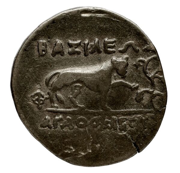 реверс Bactrian and Indo-Greek Coinage Agathocles 15.1