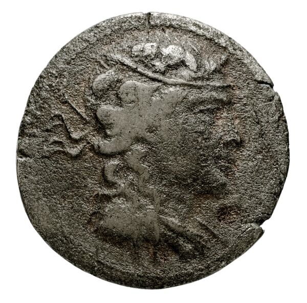 Bactrian and Indo-Greek Coinage Agathocles 15.1, аверс, bnf-bigr