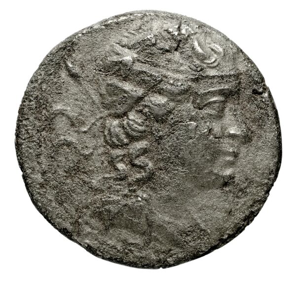 Bactrian and Indo-Greek Coinage Agathocles 15.3, аверс, bnf-bigr