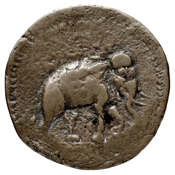 реверс Bactrian and Indo-Greek Coinage Antimachus I 8.3