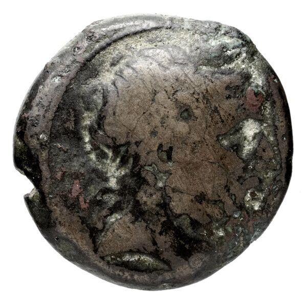 Bactrian and Indo-Greek Coinage Diodotus I or Diodotus II 9, аверс, bnf-bigr