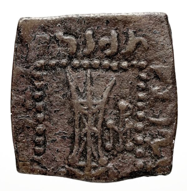 Bactrian and Indo-Greek Coinage Apollodotus I 6.6, реверс, bnf-bigr
