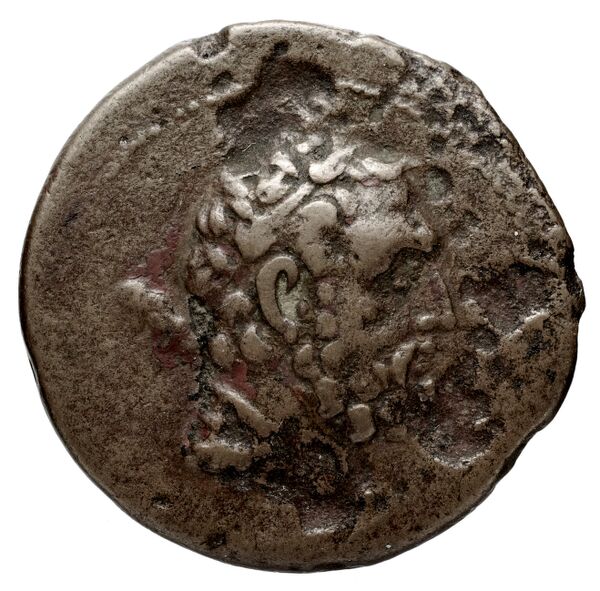 Bactrian and Indo-Greek Coinage Demetrius I 9.3, аверс, bnf-bigr