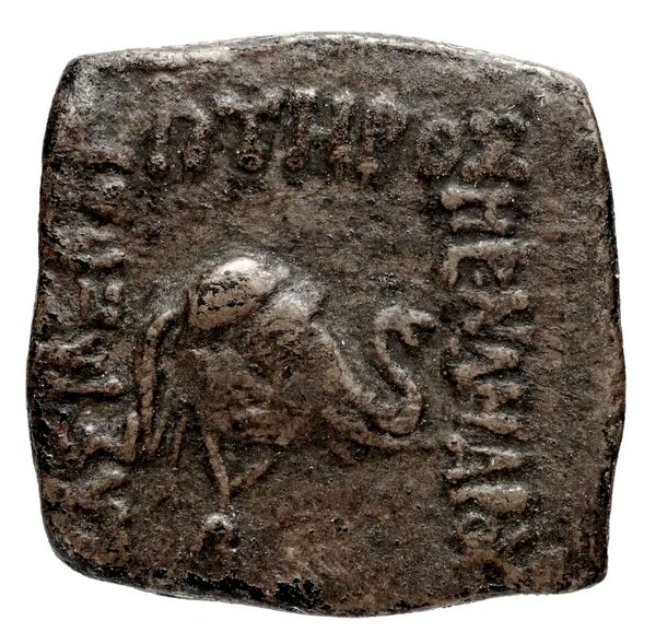 Bactrian and Indo-Greek Coinage Menander I 42.3, аверс, bnf-bigr
