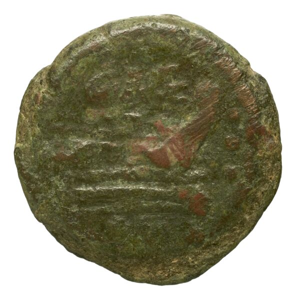 coin rev