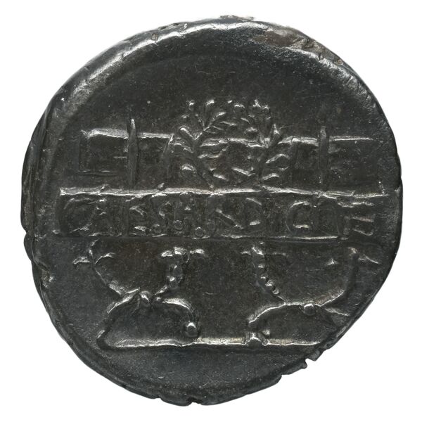 coin rev