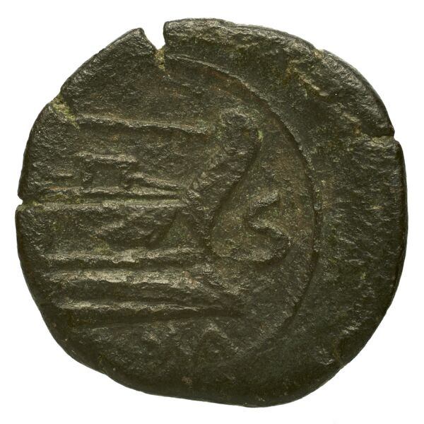 coin rev