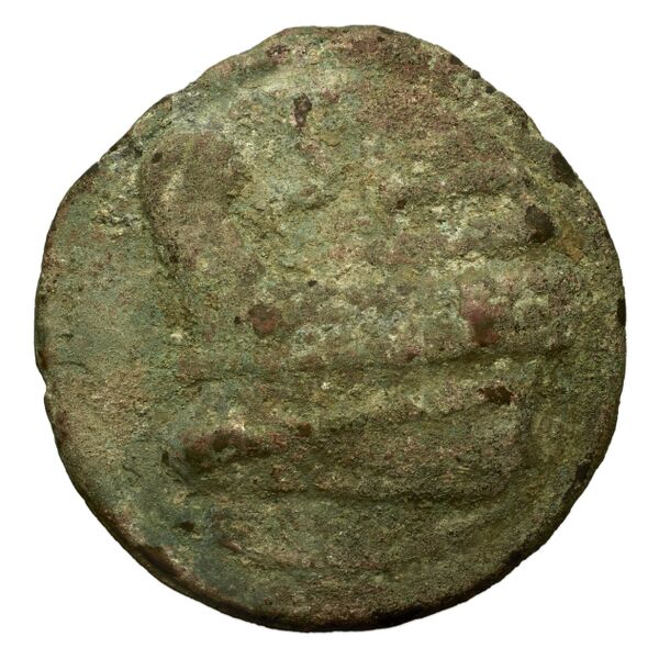 RRC 36/2, реверс, bnf-crro