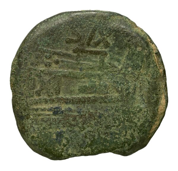 coin rev
