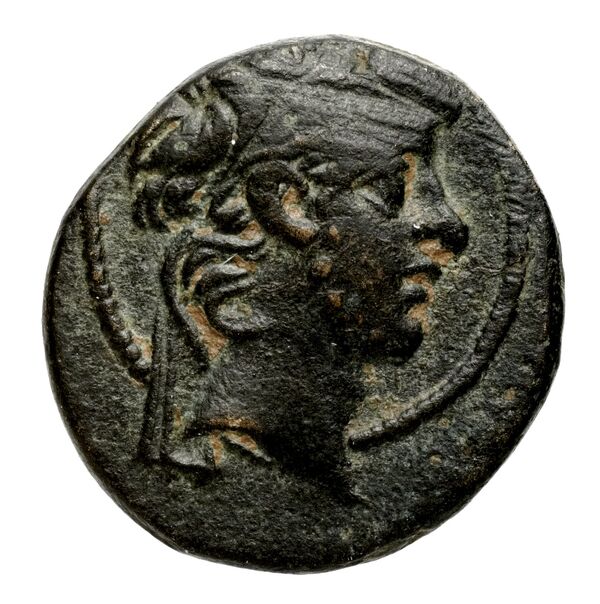 Seleucid Coins (part 2) 2433, аверс, bnf-hrc