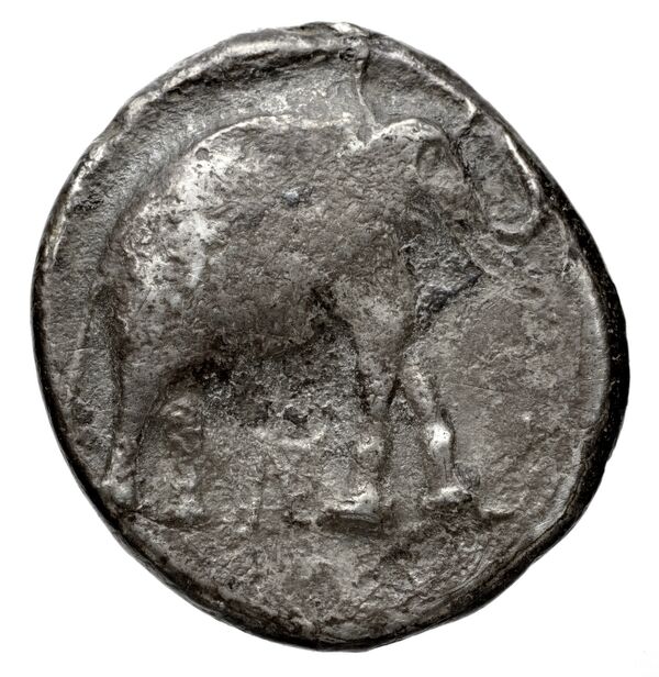 реверс Seleucid Coins (part 1) 187.2