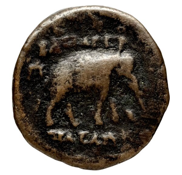 реверс Seleucid Coins (part 1) 819