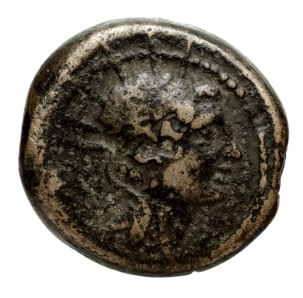аверс Seleucid Coins (part 2) 1411