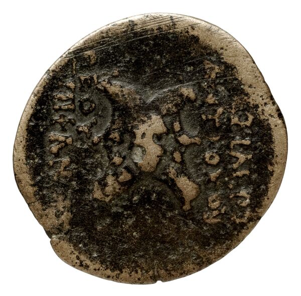 реверс Seleucid Coins (part 2) 1411