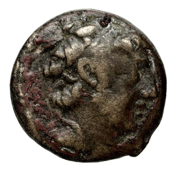 obverse Seleucid Coins (part 2) 1980.7