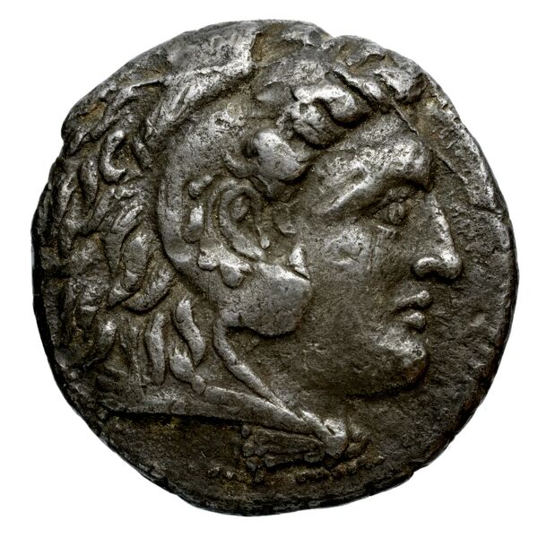 Newell Demetrius Poliorcetes, no. 25, аверс, bnf-hrc