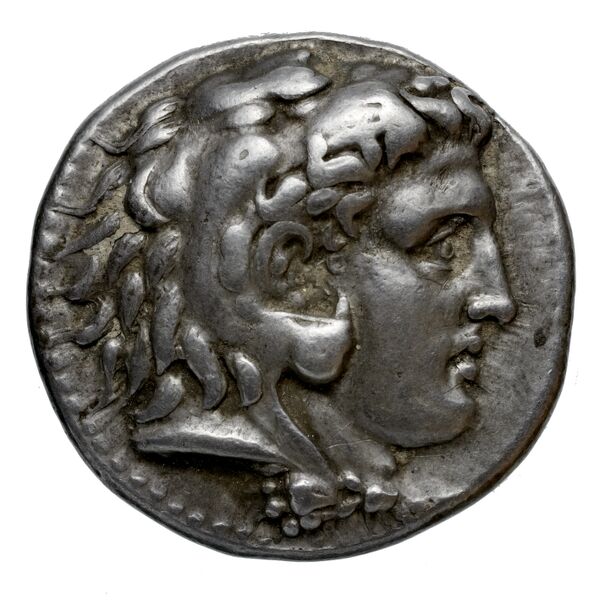 Coins of the Ptolemaic Empire Vol. I, Part 1, no. 19, аверс, bnf-hrc