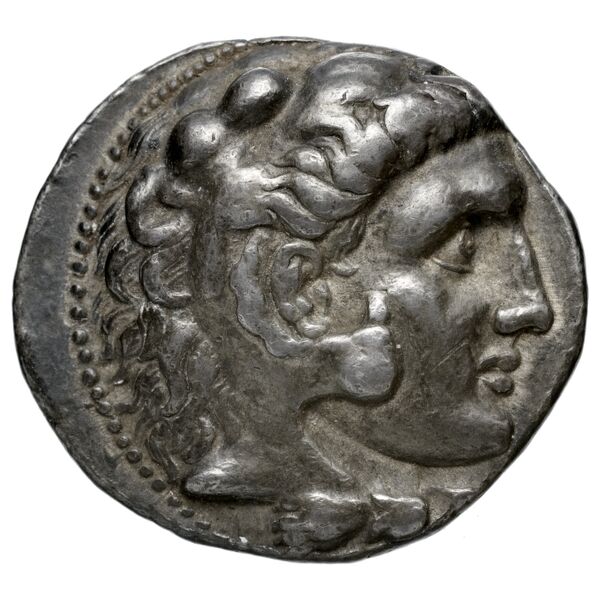 Seleucid Coins (part 1) 117.1, obverse, bnf-hrc