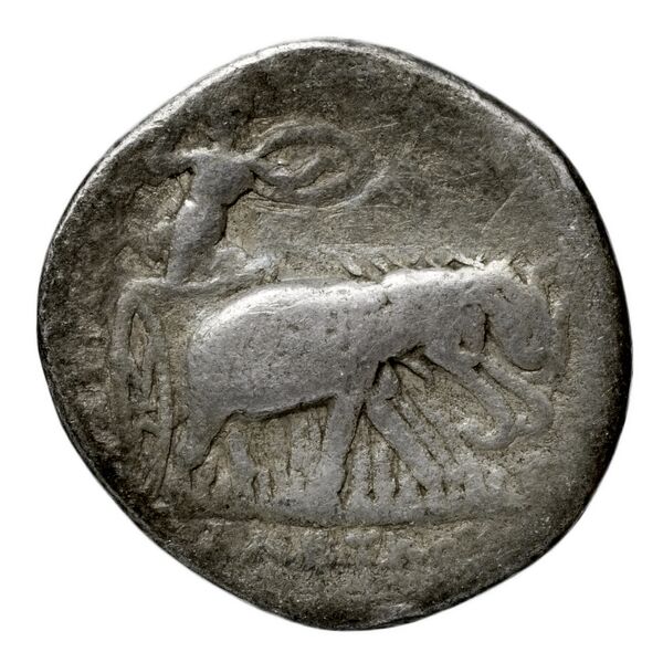 Seleucid Coins (part 1) 131, реверс, bnf-hrc