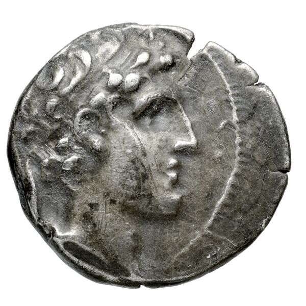 аверс Seleucid Coins (part 2) 1785
