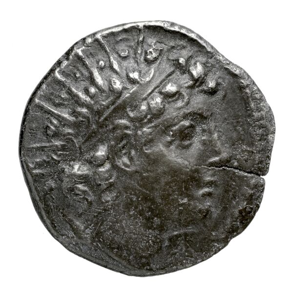 аверс Seleucid Coins (part 2) 2001.2a