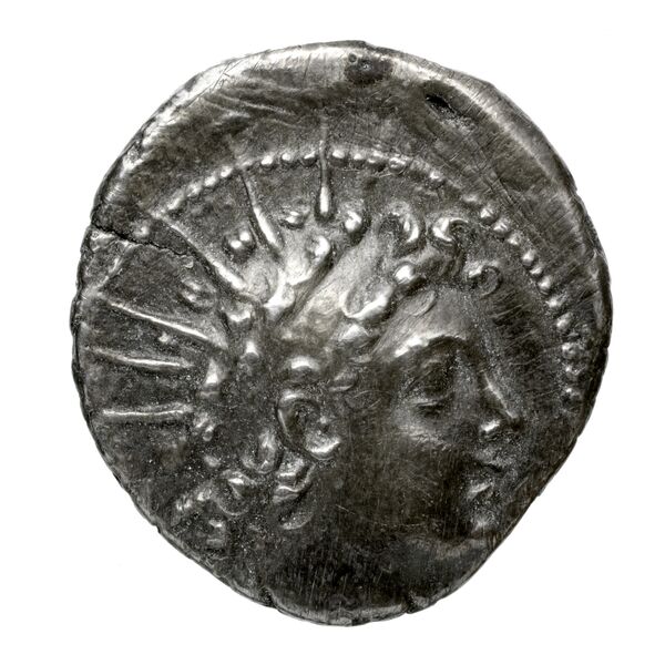 аверс Seleucid Coins (part 2) 2002.1c