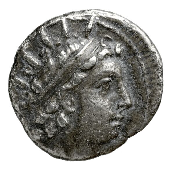 аверс Seleucid Coins (part 2) 2003c