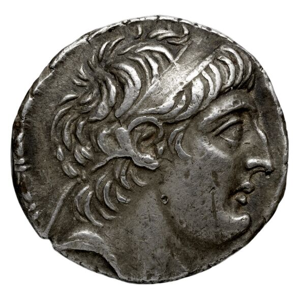 аверс Seleucid Coins (part 2) 2107.4b
