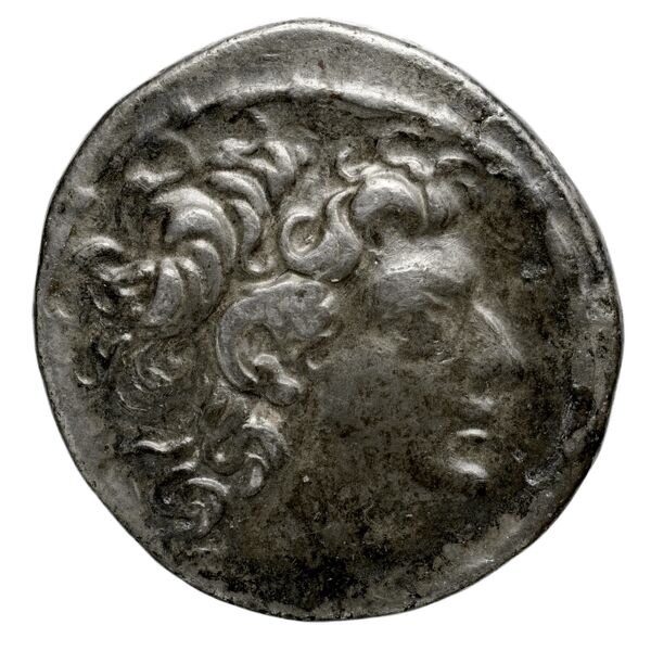 аверс Seleucid Coins (part 2) 2487b