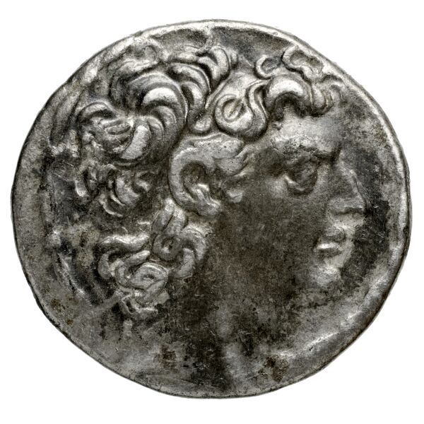 Seleucid Coins (part 2) 2487b, аверс, bnf-hrc