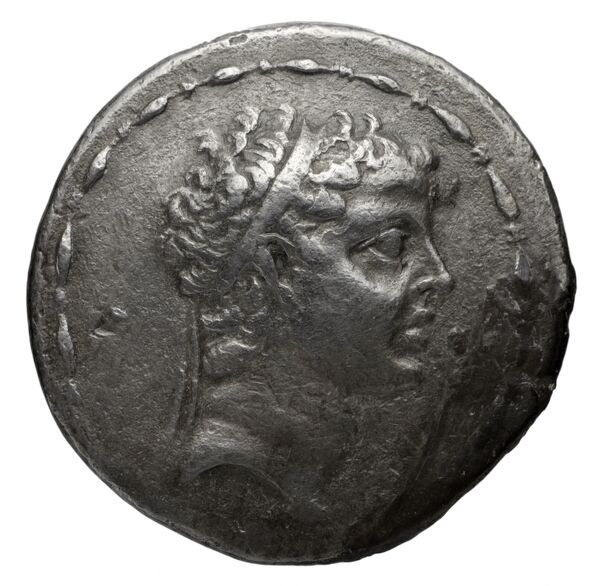 аверс Seleucid Coins (part 2) 1572