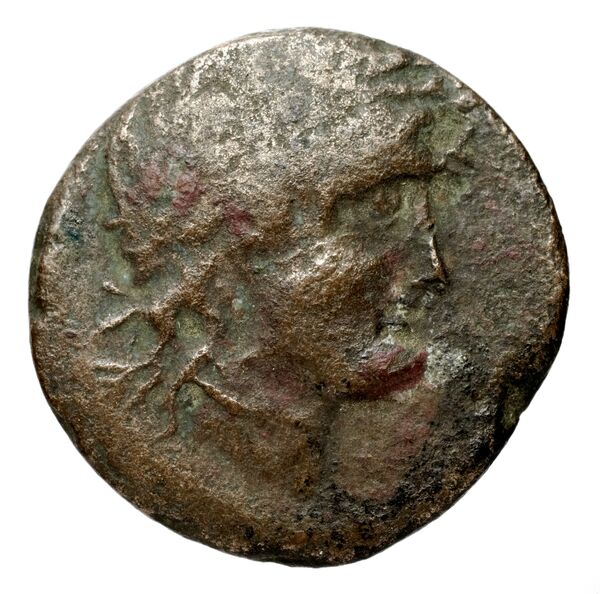 Seleucid Coins (part 1) 575.1a, аверс, bnf-hrc