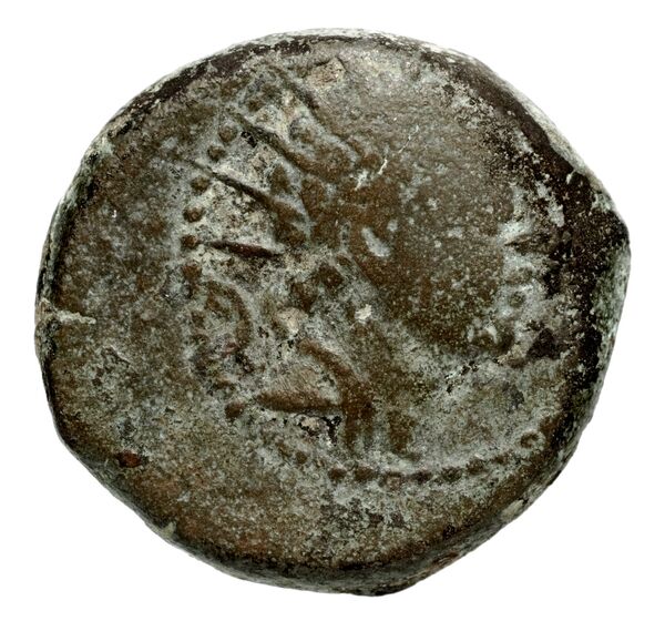 Seleucid Coins (part 2) 1484.2, аверс, bnf-hrc