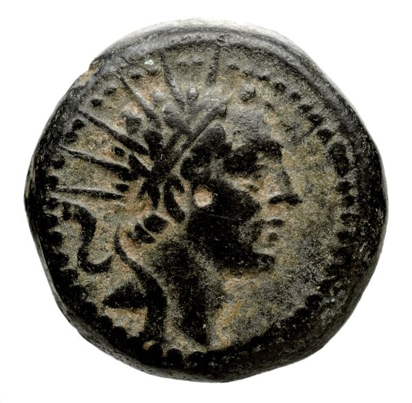 Seleucid Coins (part 2) 1484.2, аверс, bnf-hrc