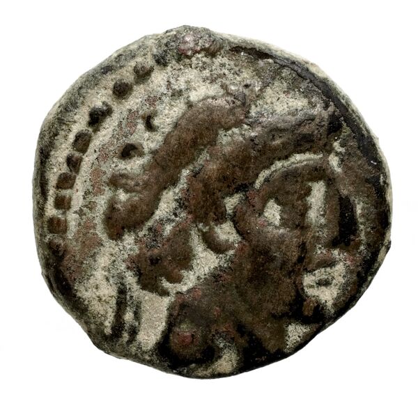 Seleucid Coins (part 2) 2342, аверс, bnf-hrc