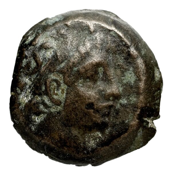 Seleucid Coins (part 2) 1978, аверс, bnf-hrc