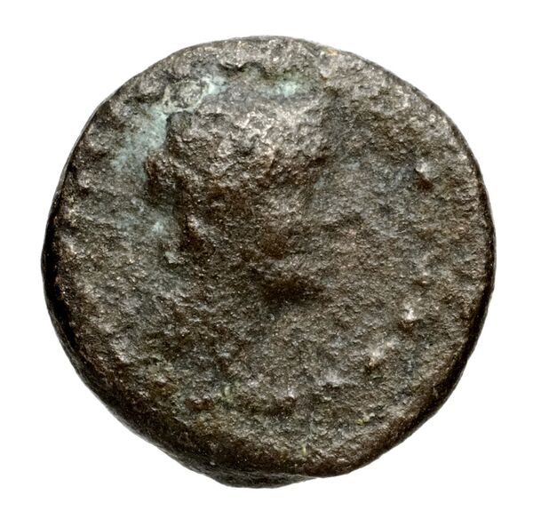 аверс Seleucid Coins (part 2) 1471