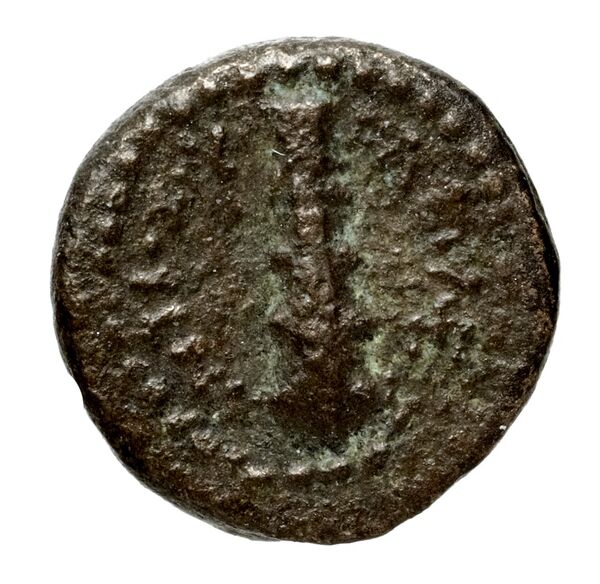 реверс Seleucid Coins (part 2) 1471