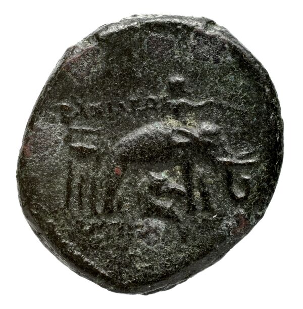 реверс Seleucid Coins (part 1) 1085