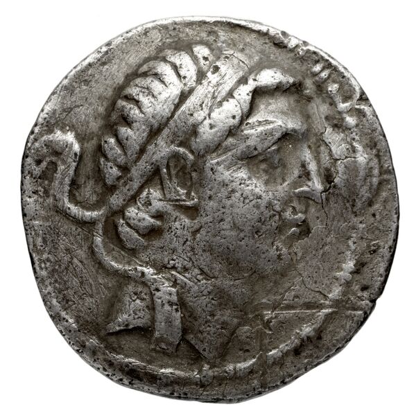 аверс Seleucid Coins (part 2) 1718