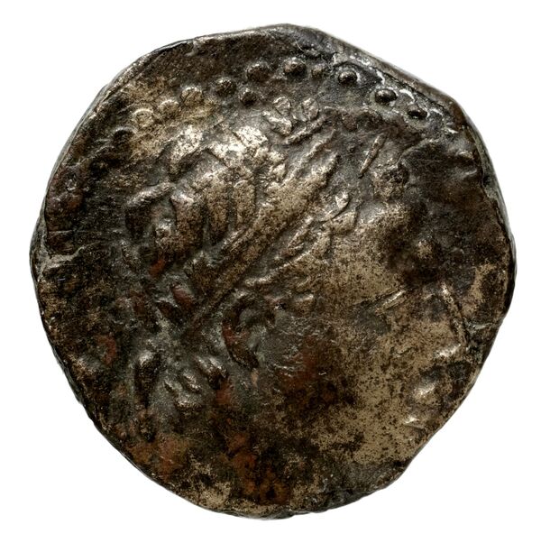 Seleucid Coins (part 2) 1427b, аверс, bnf-hrc