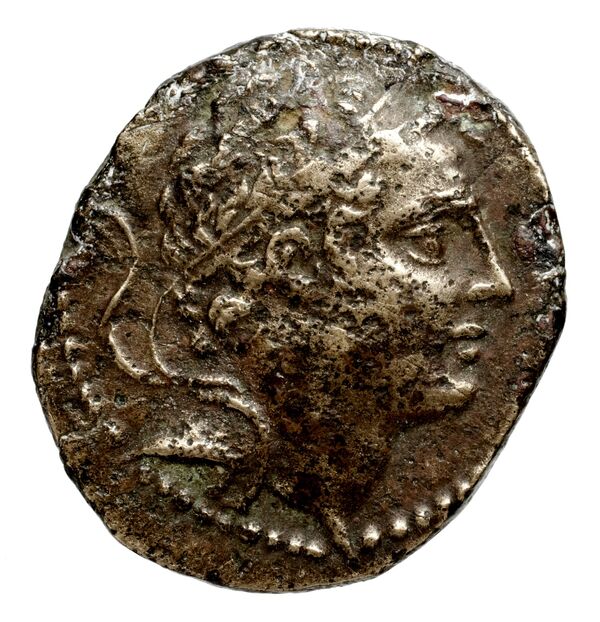 Seleucid Coins (part 2) 1427f, аверс, bnf-hrc